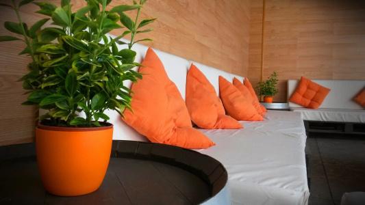 Tropic - 2