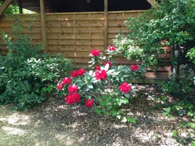 Manoir Du Parc (Adults only) - 102