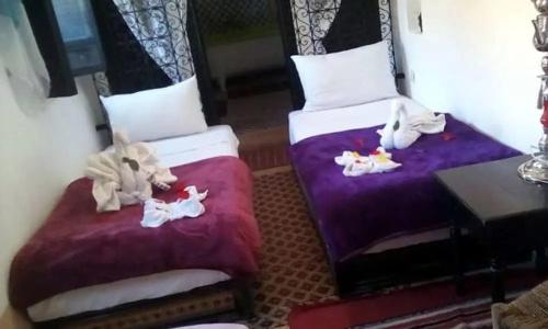 Riad Djebel - 26