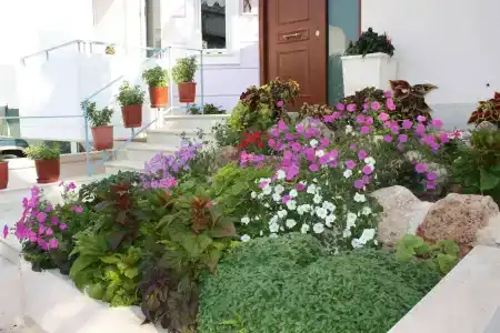 Veggie Garden Athens b&b - 11