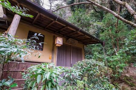 Yamagaso - 20