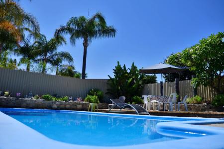 Palms - 7