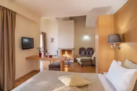 Domotel Anemolia Mountain Resort - 110