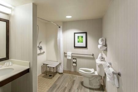 Hilton Garden Inn Orlando at SeaWorld - 12