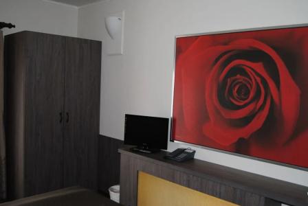 karel de stoute - 4