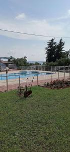Sercan Apart - 26