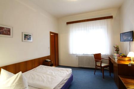 ArtAna Eden - 5