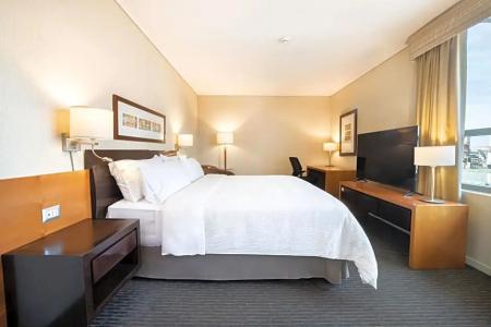 Holiday Inn Express Las Condes - 105