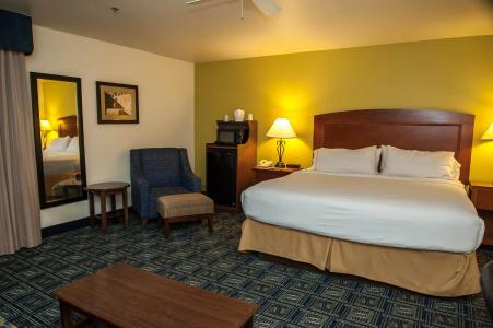 Holiday Inn Express Tucson-Airport, An Ihg - 22