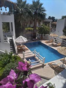 Misket Bodrum - 3