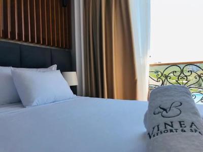 Vinea Resort & Spa - 3