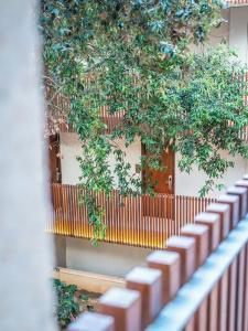 Canyamel Park & Spa - 4* Sup - Adults only (+16) - 106
