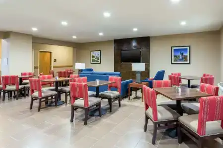 Comfort Inn & Suites Airport - 14