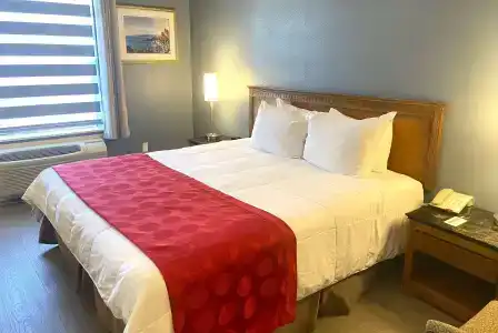 Ramada by Wyndham Los Angeles/Wilshire Center - 4
