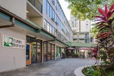 Kuhio Banyan (with Kitchenettes) - 41