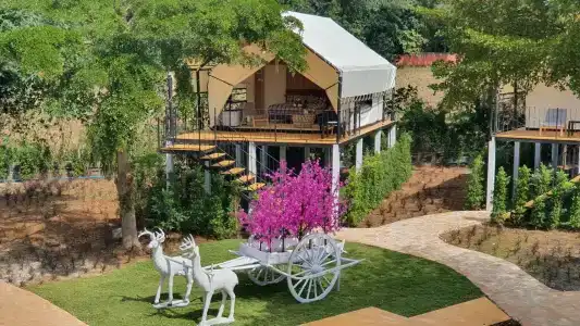 Mont Blanc Base Camp Khaoyai - 11