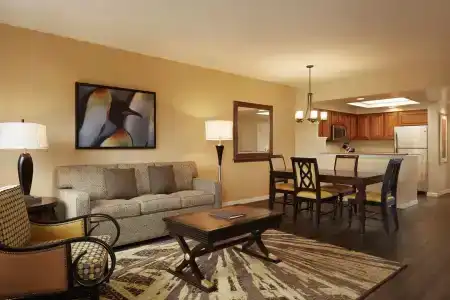 Hilton Grand Vacations Club SeaWorld Orlando - 3