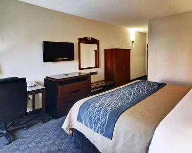Quality Inn & Suites Dfw Airport South - 72