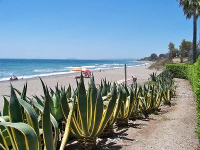 Mare Estepona - 22