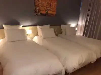 Grand Hôtel d'Espagne - 5