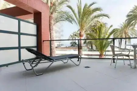 El Palmeral - 60