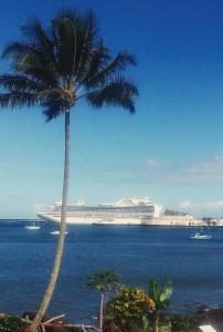 Hilo Reeds Bay - 17