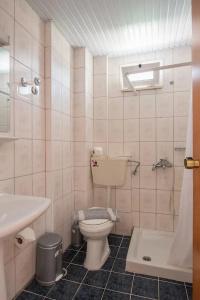 Danelis Studios & - 27