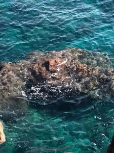 Le tre meraviglie a 200 m dal mare - 15