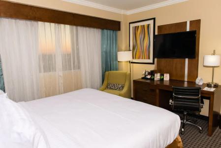 Holiday Inn Houston Downtown, An Ihg - 4