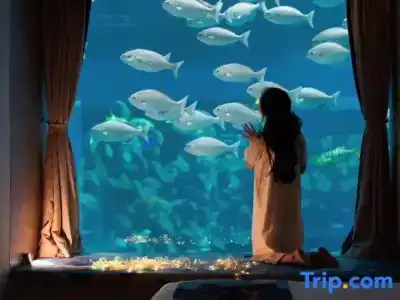 Dali Manju Ocean - 56
