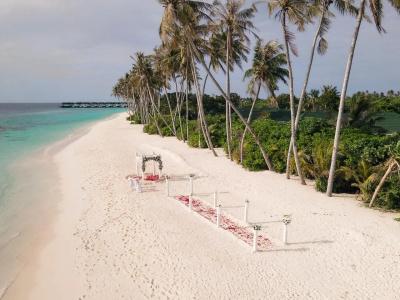 The Beach House Collection at Siyam World - 13