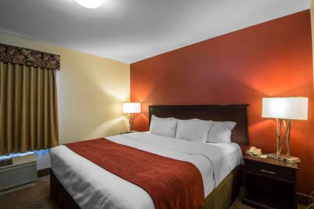 Comfort Inn & Suites Airport South - 44