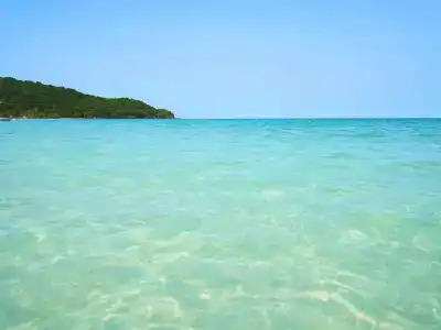 Mövenpick Resort Waverly Phu Quoc - 8