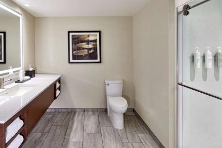 Embassy Suites by Hilton Nashville - 109