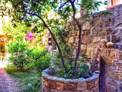 Parmis Boutique House - 15