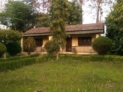 Bardia Forest - 2