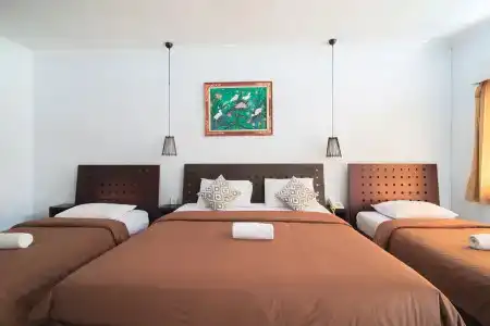 Gemini Star - 6