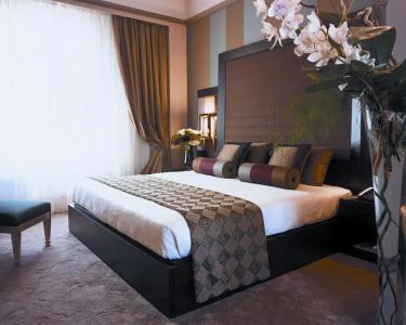 Grand Visconti Palace - 2