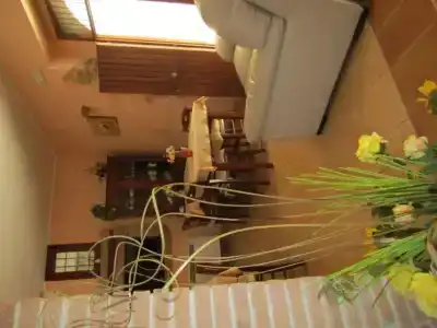 Bed And Breakfast Camere Primavera - 12
