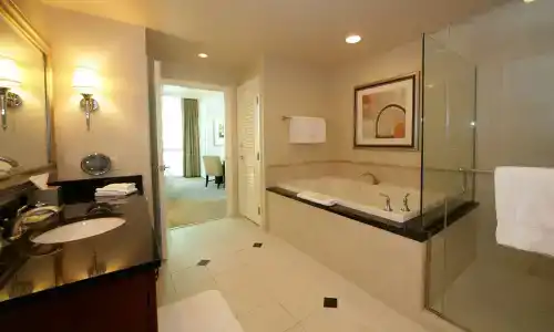 Jet Luxury at The Vdara - 3