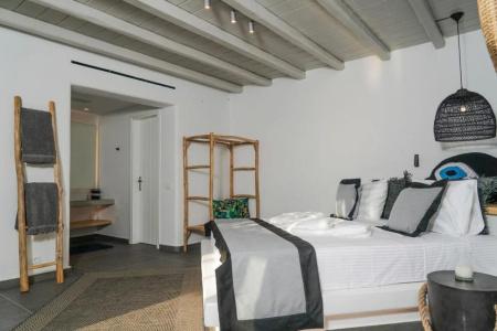 Ikies of Mykonos - 1