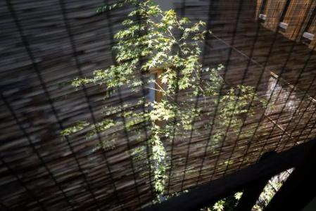 Ryokan Tori - 23