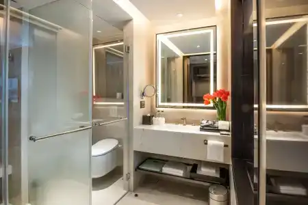 Carlton Bangkok Sukhumvit - Sha Extra Plus - 61