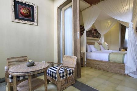 The Alena a Pramana Experience - 45