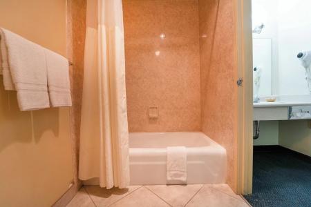 Royal Plaza Inn - 109