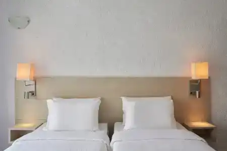 The - 1