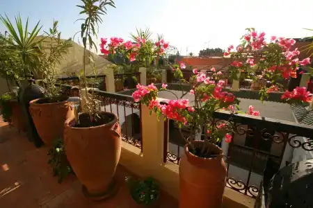 Riad Africa - 23