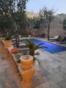 Palazzo Pisani b&b - 15