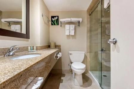 Quality Inn & Suites - 47