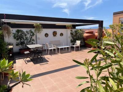 b&b Pellicano Guest House - 138